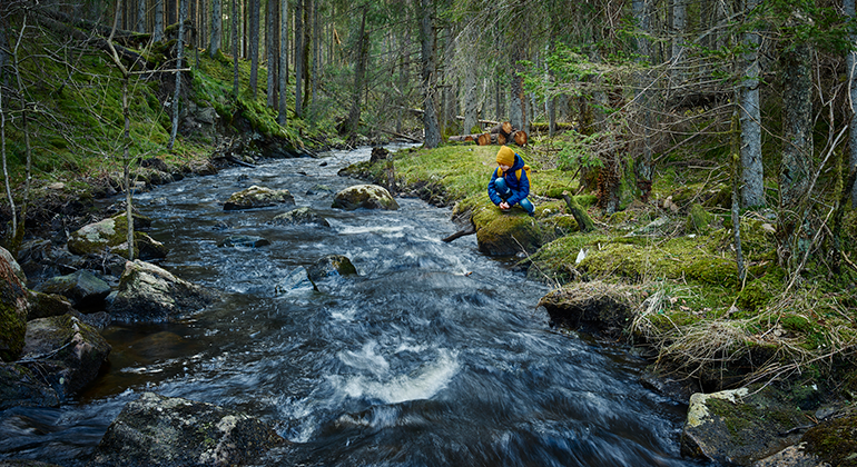 Bilden visar en bäck i en skog med ett barn som sitter på huk vid vattnet. 