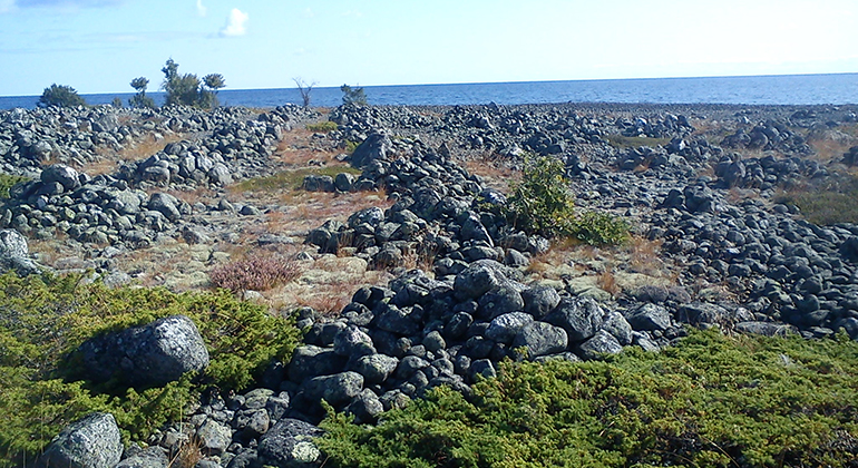 Stensamlingar i formationer vid havet.