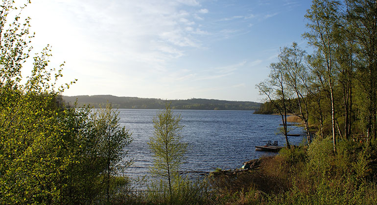 Västra Nedsjön.