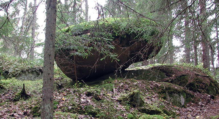 Skog i sluttning med stort stenblock på toppen.