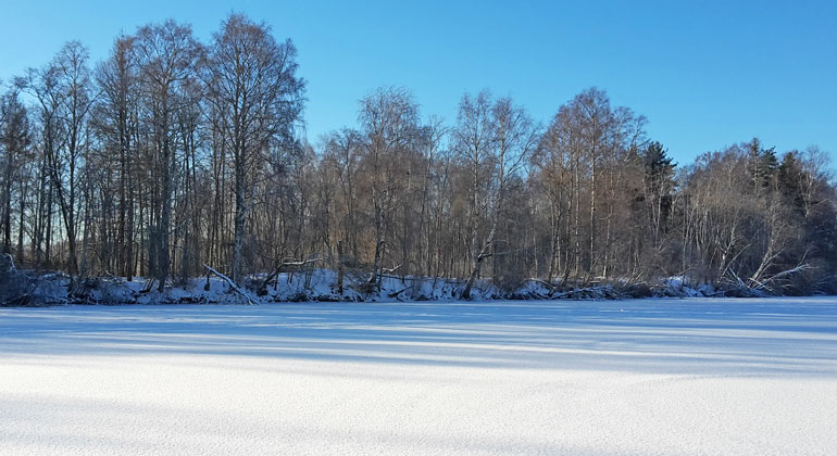 Vinterbild med snö på isen och blå himmel en solig dag.