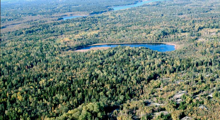 Flygbild över blandskogar och vasskantade sjöar i Vickelsjöns naturreservat. Foto: Bergslagsbild