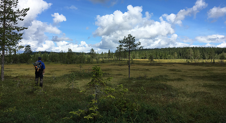 Peggonätto, naturreservat i Värmland.