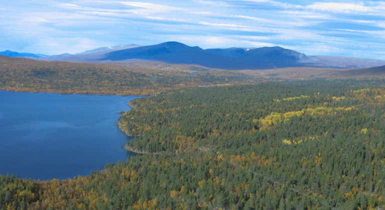 Flygfotografi över en sjö omgiven av barrskog med berg i bakgrunden.