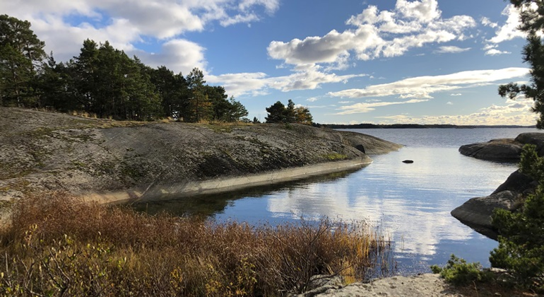 Himlen speglar sig i vikens vatten. Gymmerholmens naturreservat i Stockholms län. Foto: Naturföretaget