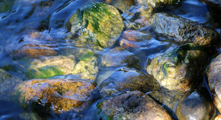 Stenar som sköljs över av vatten.