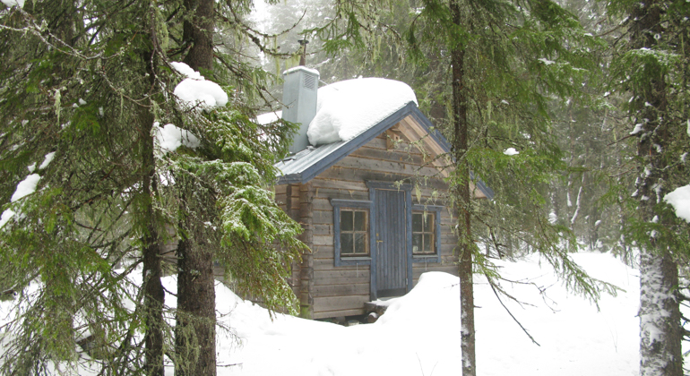 Foto av en stuga omgiven av granar och snö.