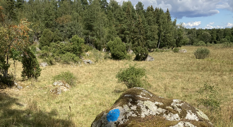 Sten med målad markering och öppen betamark.