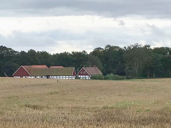 Gården nära kyrkan och St Olofs källa.