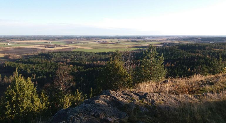 Utsikt från höjd över ett varierat landskap med såväl skog som öppna odlingsmarker