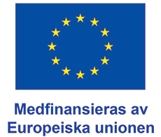 Logotyp: Medfinansieras av Europeiska unionen.