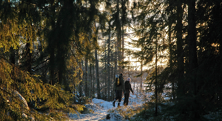Två personer som promenerar i skogen.