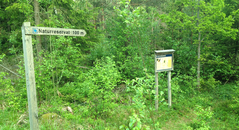 Vägvisare och reservatskylt i lummig vegetation, Bromseby naturreservat. Foto: Länsstyrelsen