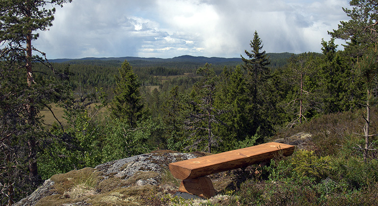 Träbänk på utsiktsplats på toppen av Måns-Olasberg.