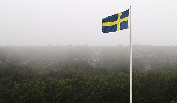 En flaggstolpe med svenska flaggan framför ett disigt skogslandskap.
