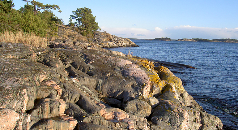Steniga klippor ner mot havet, vass och tallar.Sundby naturreservat på Ornö. Foto: Länsstyrelsen
