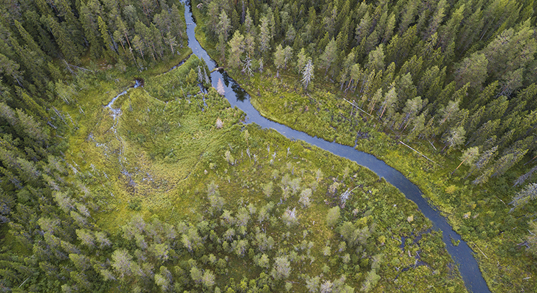 Foto taget från luften av en å som ringlar fram omgivet av skog och myrar.