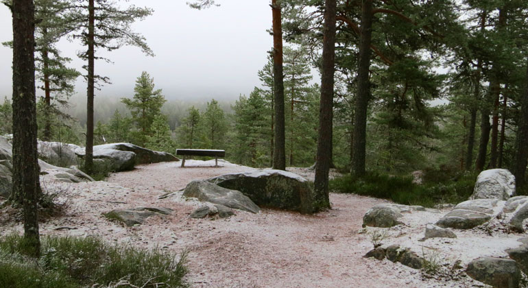 En stilla tallskog med lite snö på marken och i bakgrunden en utsikt över skogar nedanför berget.