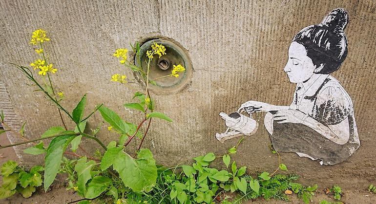 Ritad flicka som vattnar blommor mot en vägg