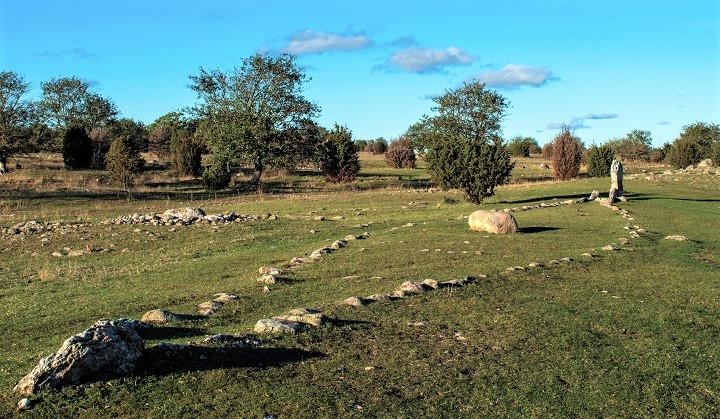 En gräsmark med glest stående träd och buskar. I förgrunden syns ett stort antal delvis övertorvade stenar lagda i två välvda rader som tillsammans bildar formen av skrovet till en båt. I ena ändan finns en större rest sten.