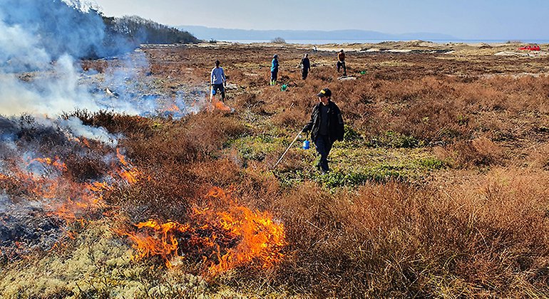 Naturvårdsbränning i naturreservatet Södra Skummeslöv. 