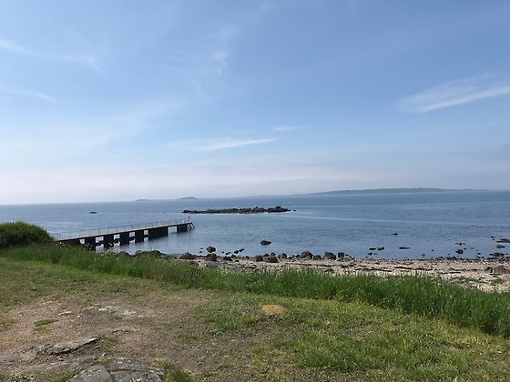 Torekov strand med utsikt mot Hallands väderö.