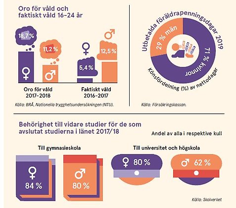 Ett urklipp från kortversionen av På tal om kvinnor och män i Södermanland 2020