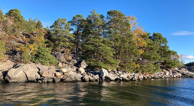 En ö med stora stenar längs stranden och höstfärger. Stora Vindåsens naturreservat. Foto: Naturföretaget 