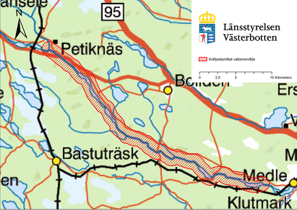 Karta över området i Skellefteälven som är drabbat av kräftpest.
