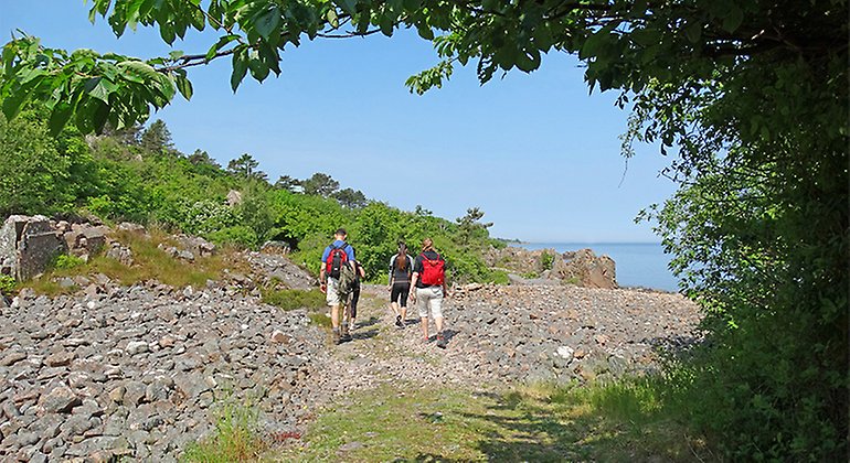Vandring längs kusten i Bölsåkra-Tranekärr.