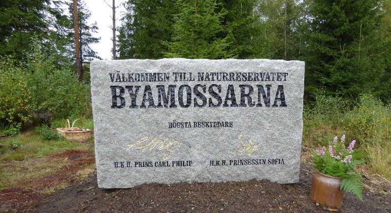Minnessten med texten: Välkommen till naturreservatet Byamossarna. Högsta beskyddare H.K.H Prins Carl Philip och H.K.H. Prinsessan Sofia. Prinsparets namnteckningar finns med på stenen.