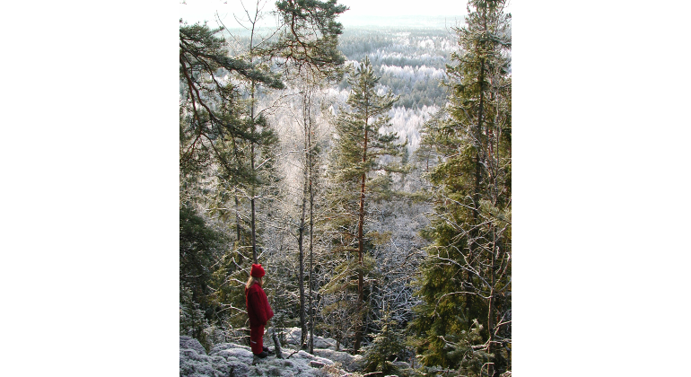 Barn i röda kläder står på höjd och blickar ut över vintrigt skogslandskap.