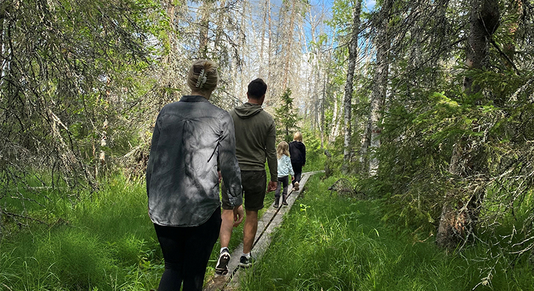 Vandring på spång vid tysjöarna