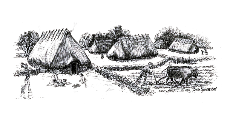 Illustration av hur en gård kan ha sett ut. Illustration: Ulla Sjöswärd