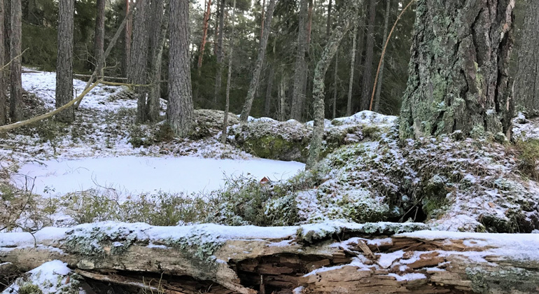 Kilinge naturreservat i snöpuder. Foto: Länsstyrelsen Östergötland