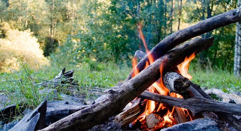 En lägereld brinner i en skog.