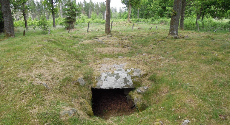Hällkistans övre stenar ligger som lock över gravkammaren. Gravkammaren har en sida öppen och hela hällkistan är övervuxen med gräs.