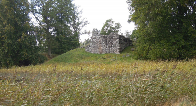 Vassen vajar i vinden i den vallgrav som avskiljer Stenhusholmen från fastlandet. I bakgrunden syns resterna av borgens stenklädda murar.