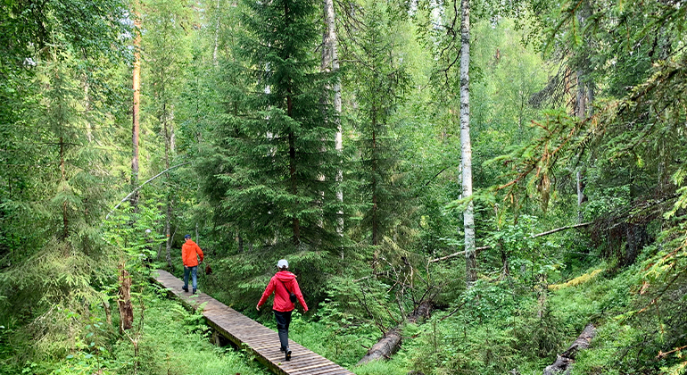 Två personer som går längs en träramp i skog.