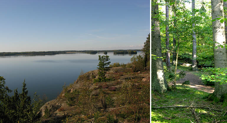 Skogsstig och utsikt över Mälaren i naturreservatet Kalmarnäslandet