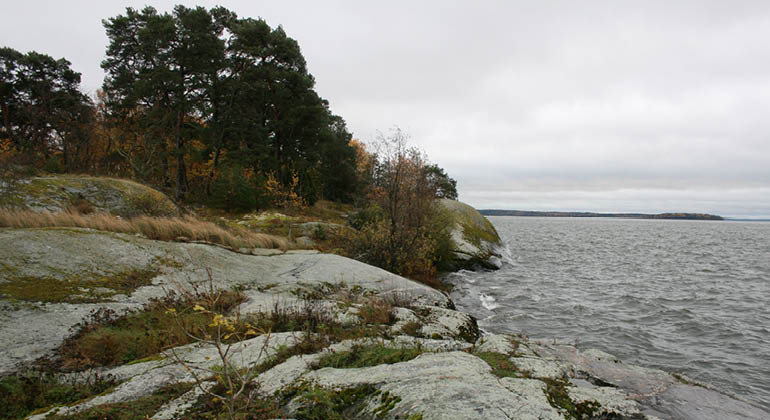 Stenhällar vid Mälaren i naturreservatet Norra Björkfjärden