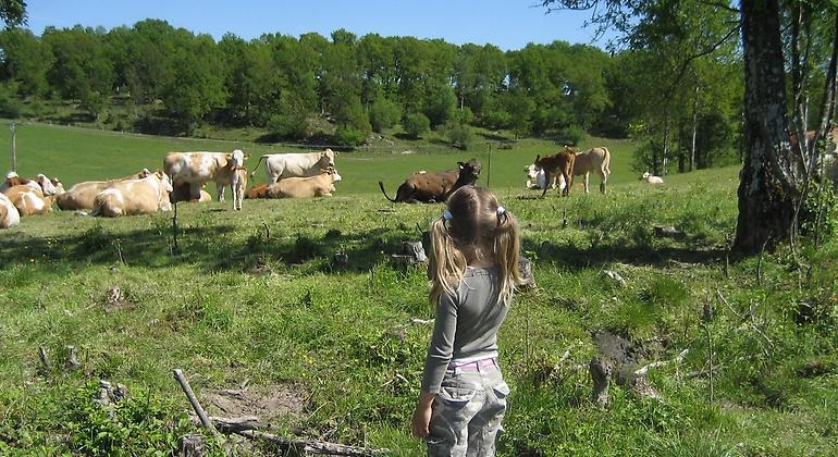 Bilden är tagen på en flicka som står vänd mot en flock kor på en skogsäng. I bakgrunden finns lövskog.