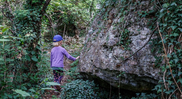 Ett barn går längs en stig i en tätbevuxen skog. En stor sten ligger vid sidan av stigen och barnet tar stöd mot stenen när hen går förbi.