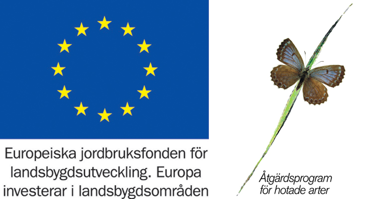 Logotyp för Europeiska jordbruksfonden för landsbygdsutveckling samt logo för Åtgärdsprogram för hotade arter. 