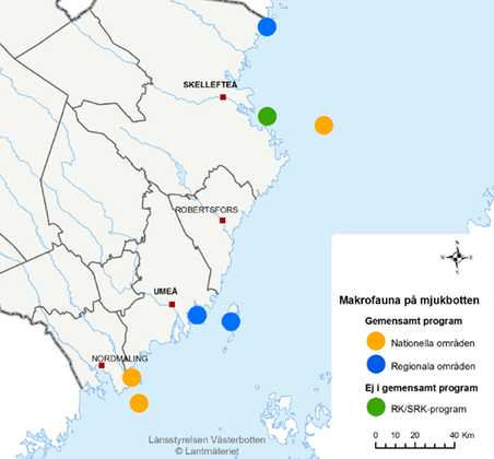 Karta över undersökta områden i Västerbotten.