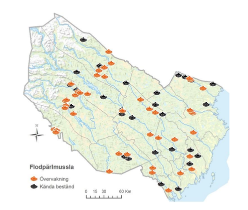 Karta som visar övervakningspunkter och kända bestånd av flodpärlmussla.