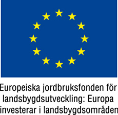 Bild på EU-flagga