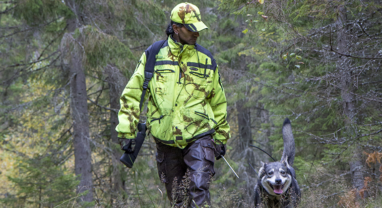 Jägare är ute i skogen med sin hund för att jaga älg. 