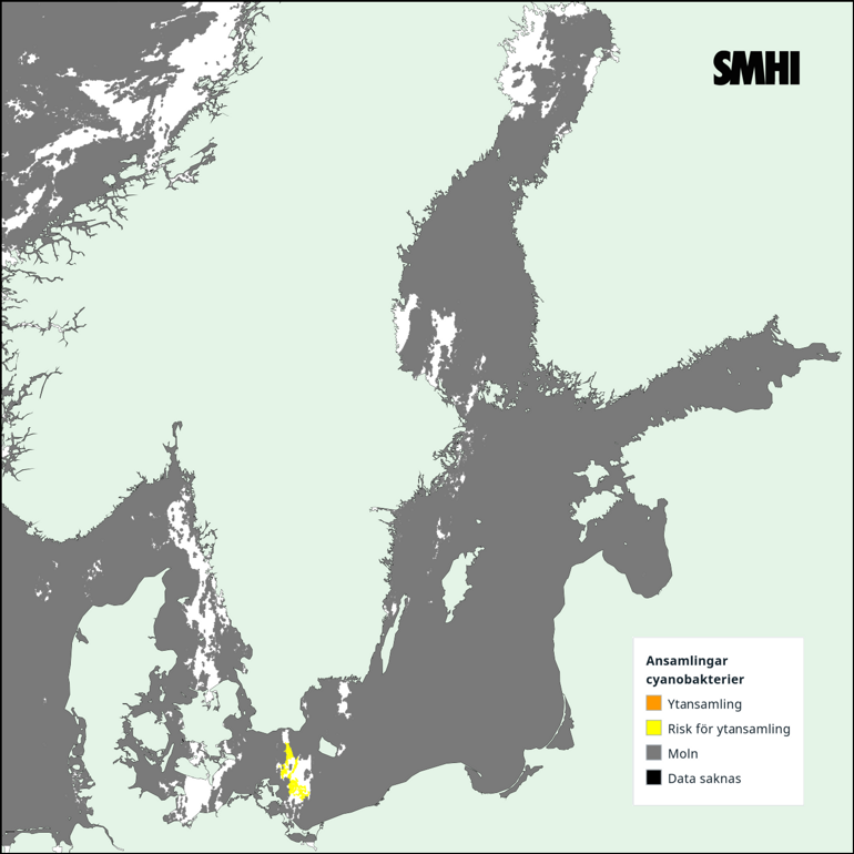 Tolkning av satellitkarta över Egentliga Östersjön 30/8. Källa: SMHI
