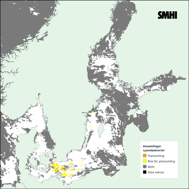Tolkning av satellitkarta över Egentliga Östersjön 24/8. Källa: SMHI